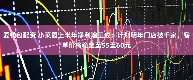 爱钱包配资 小菜园上半年净利增三成：计划明年门店破千家，客单价将稳定至55至60元