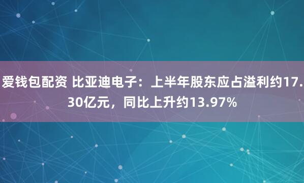 爱钱包配资 比亚迪电子：上半年股东应占溢利约17.30亿元，同比上升约13.97%